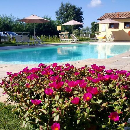 Punta Dei Lecci Villa Riparbella Exteriör bild