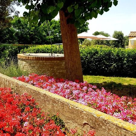 Punta Dei Lecci Villa Riparbella Exteriör bild