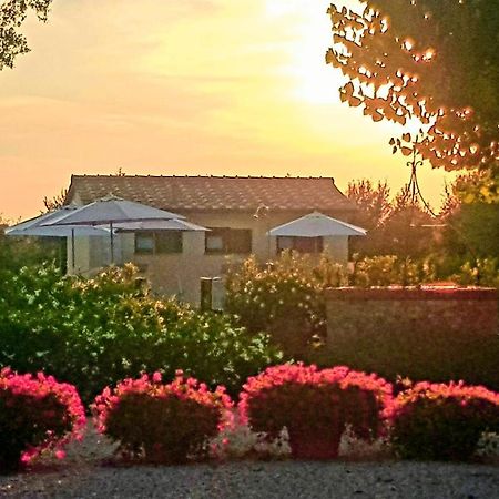 Punta Dei Lecci Villa Riparbella Exteriör bild