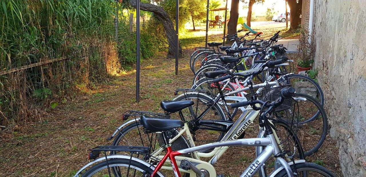 Punta Dei Lecci Villa Riparbella Exteriör bild