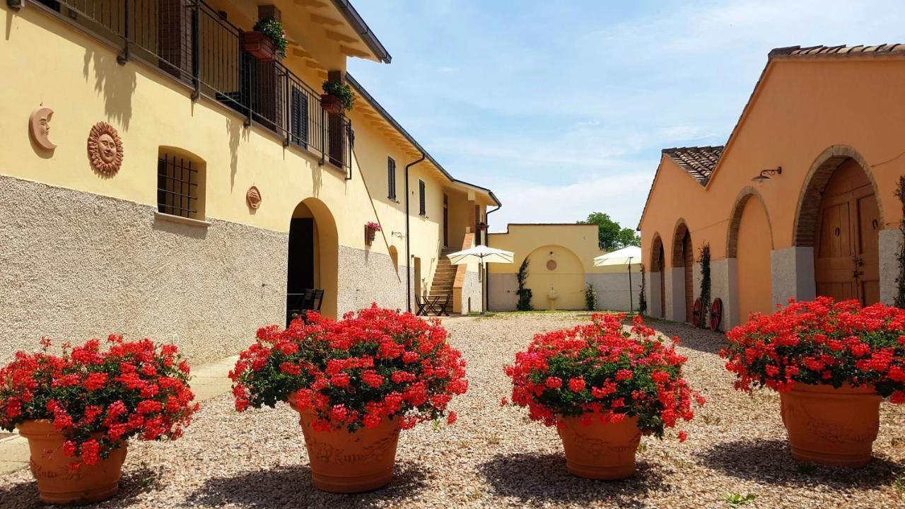 Punta Dei Lecci Villa Riparbella Exteriör bild