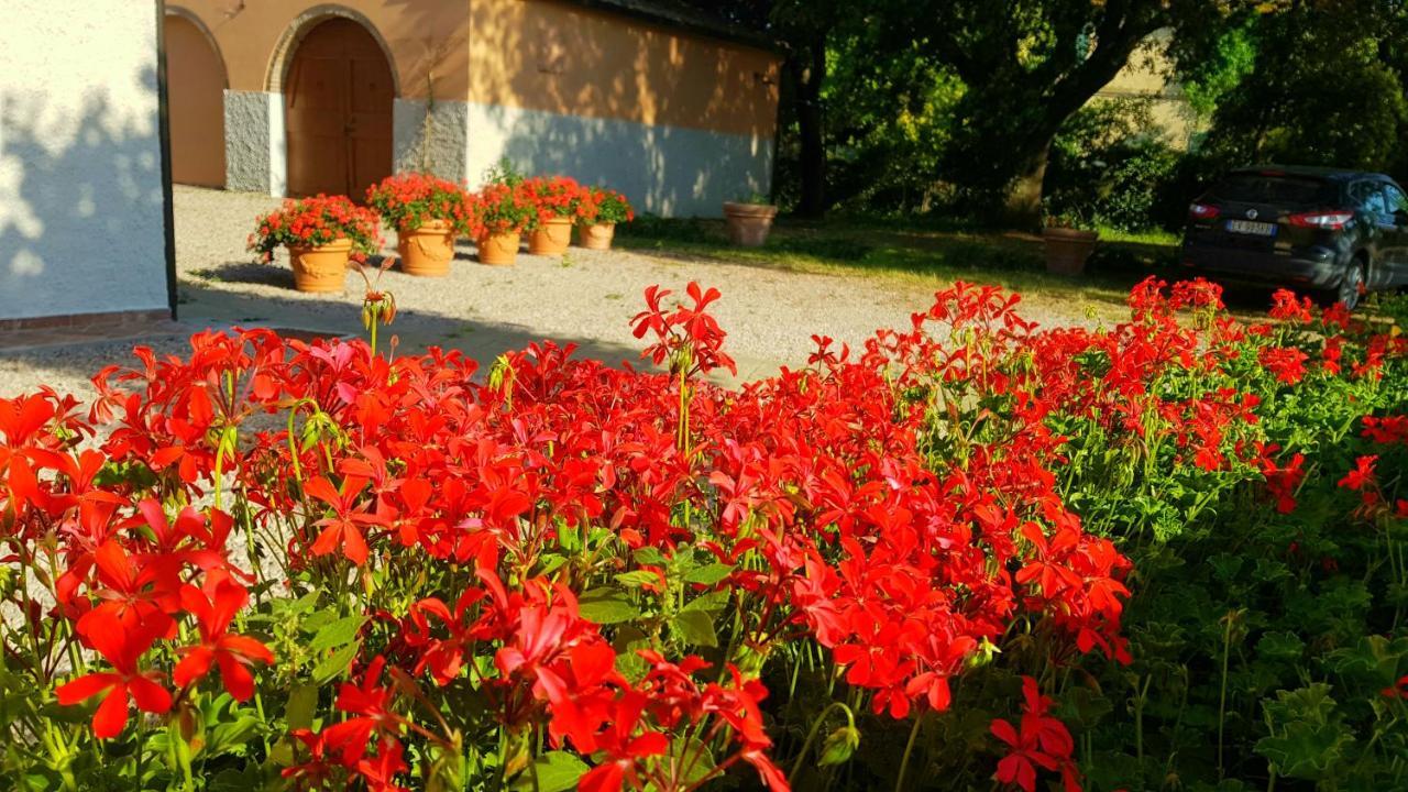 Punta Dei Lecci Villa Riparbella Exteriör bild