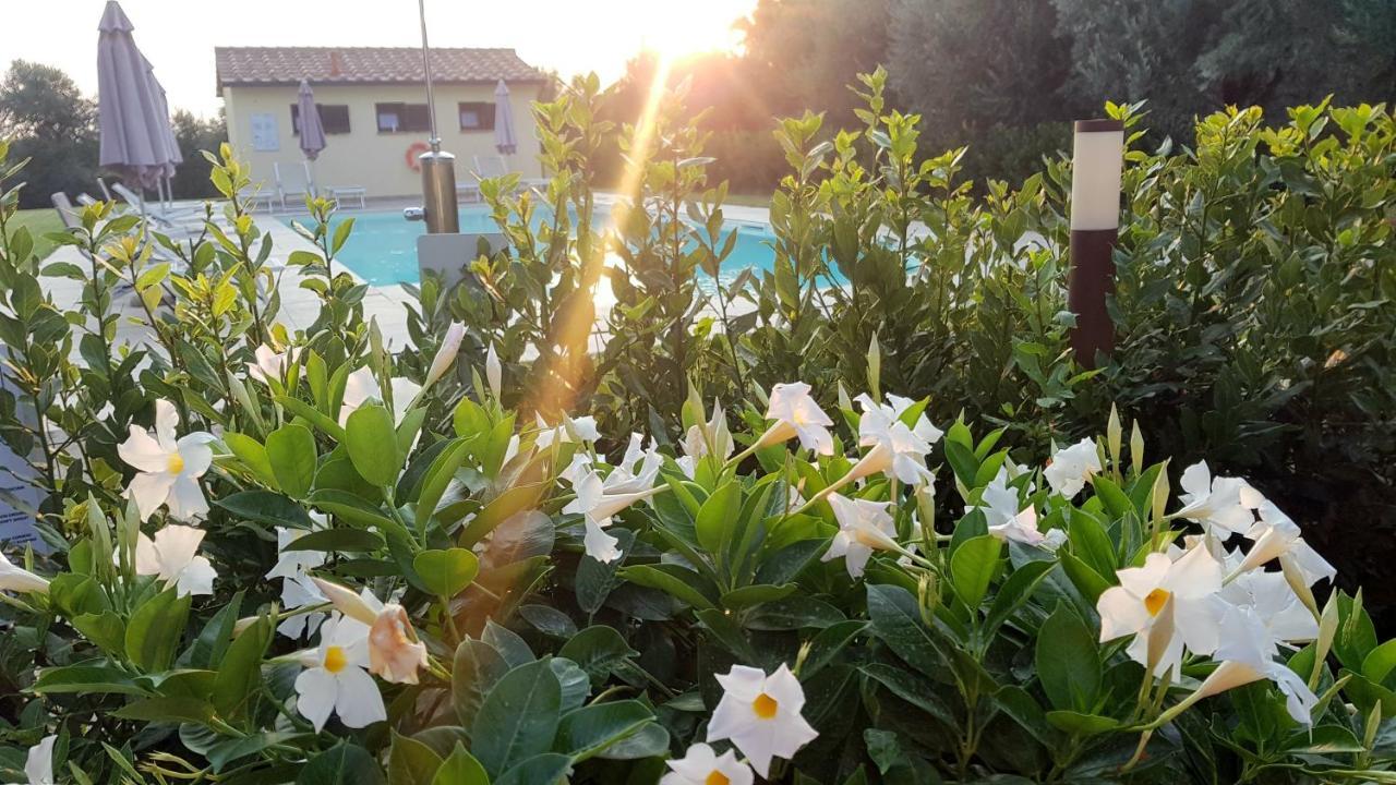 Punta Dei Lecci Villa Riparbella Exteriör bild