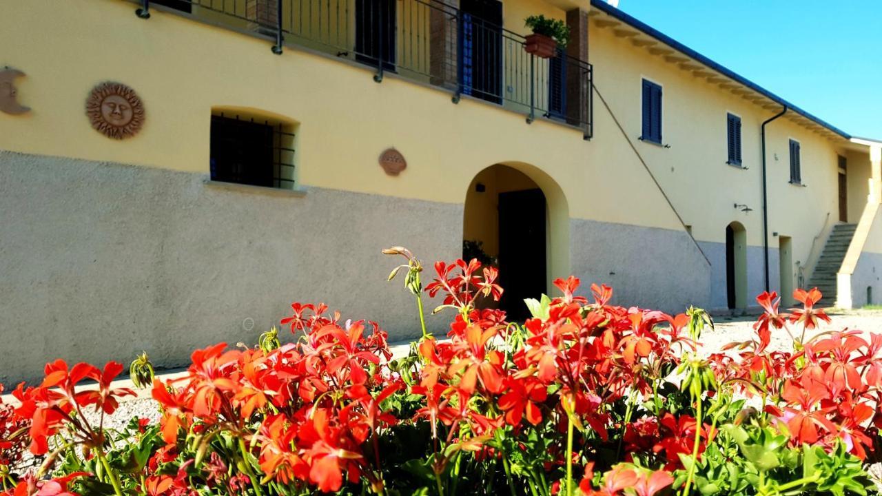 Punta Dei Lecci Villa Riparbella Exteriör bild