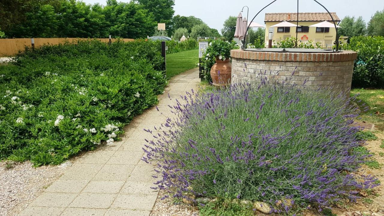 Punta Dei Lecci Villa Riparbella Exteriör bild