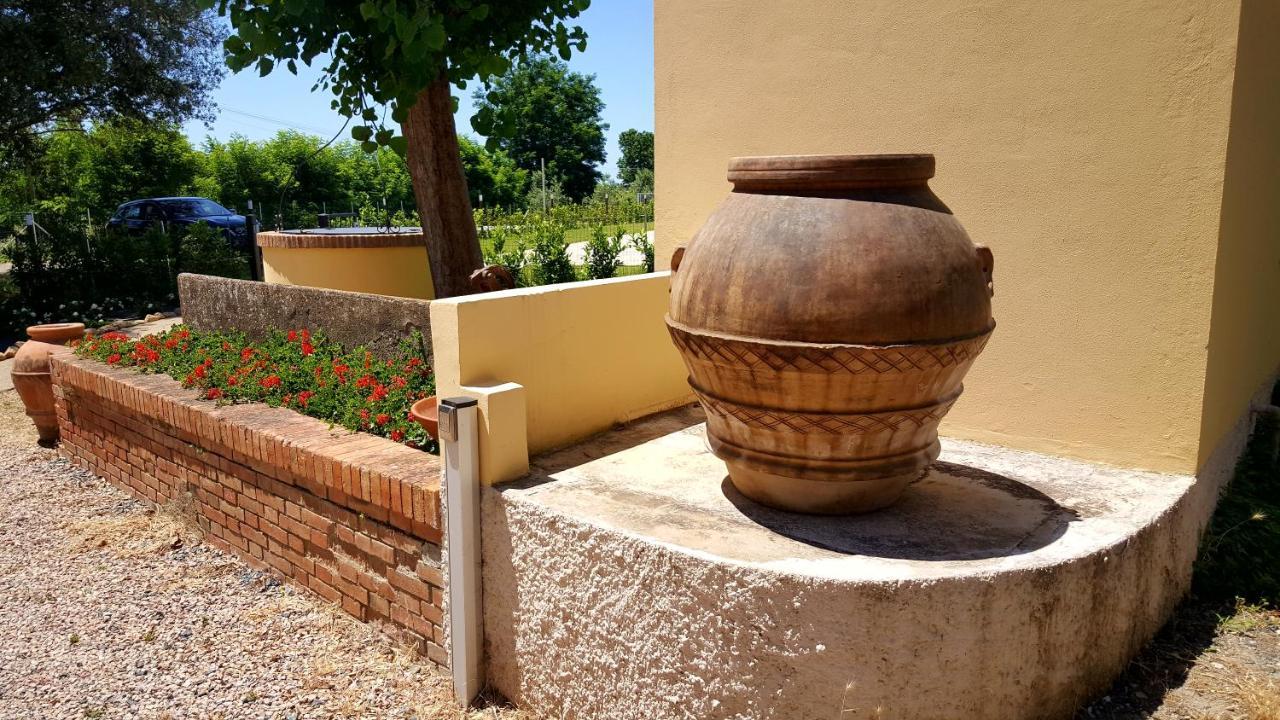 Punta Dei Lecci Villa Riparbella Exteriör bild