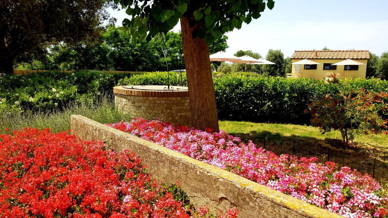 Punta Dei Lecci Villa Riparbella Exteriör bild
