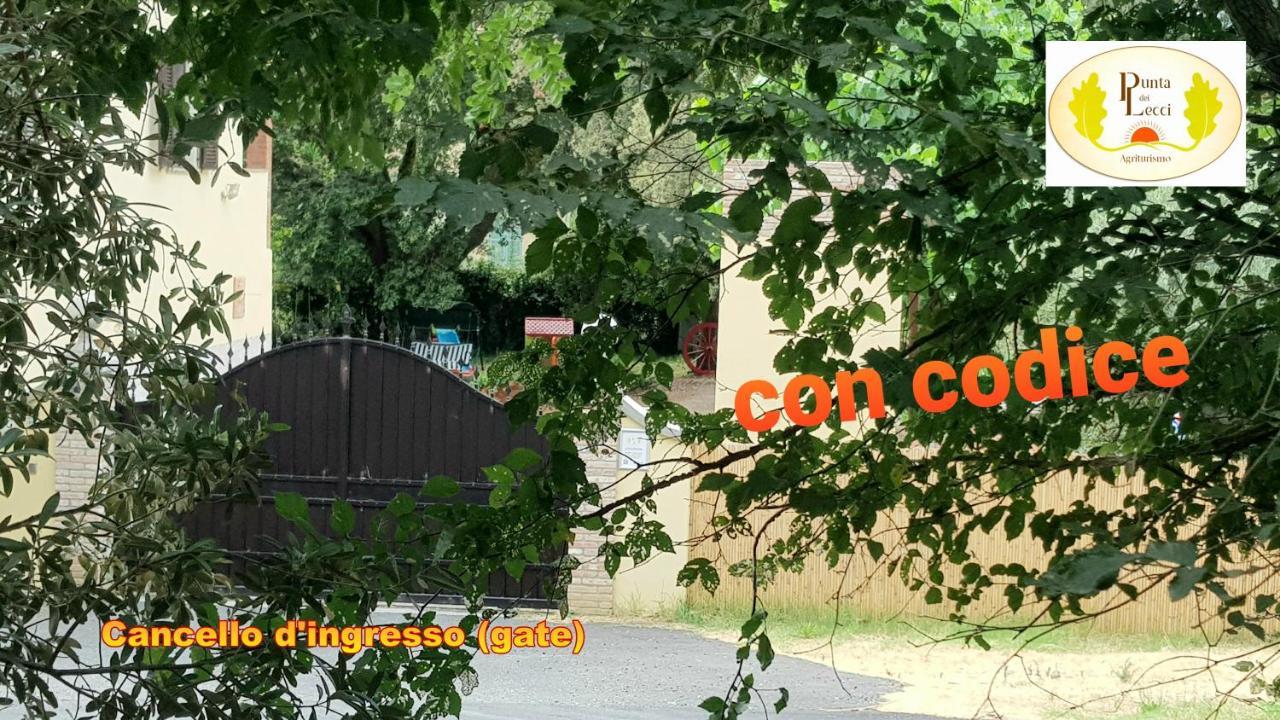 Punta Dei Lecci Villa Riparbella Exteriör bild