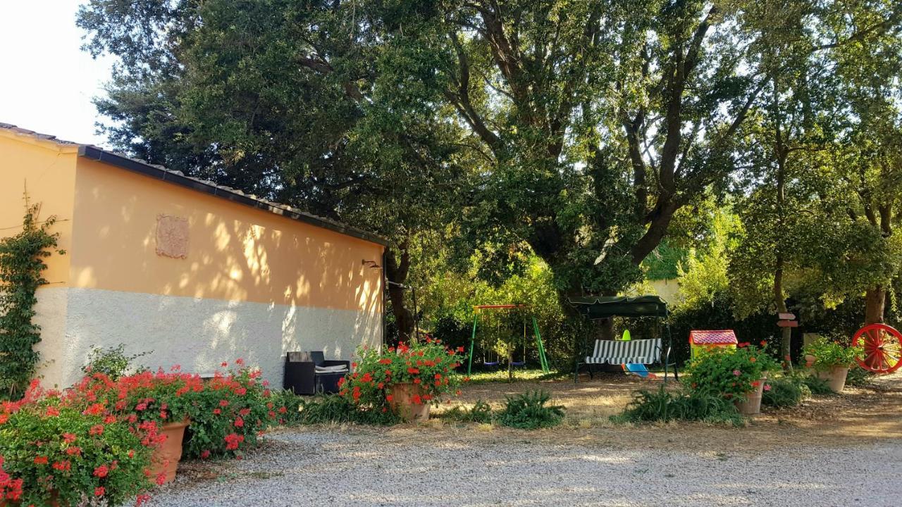 Punta Dei Lecci Villa Riparbella Exteriör bild