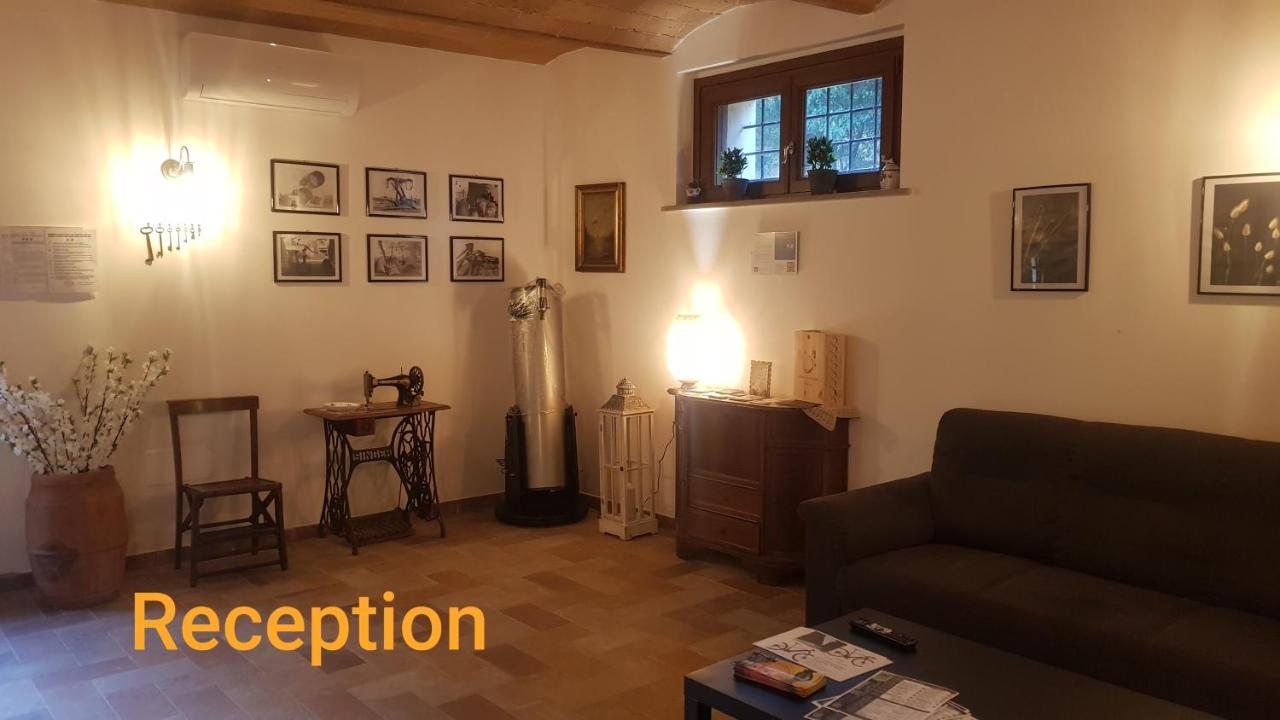 Punta Dei Lecci Villa Riparbella Exteriör bild