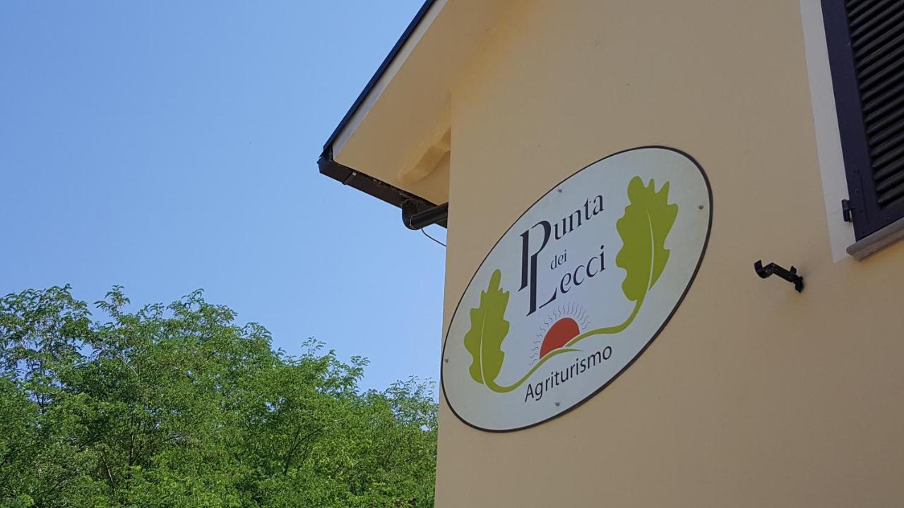 Punta Dei Lecci Villa Riparbella Exteriör bild